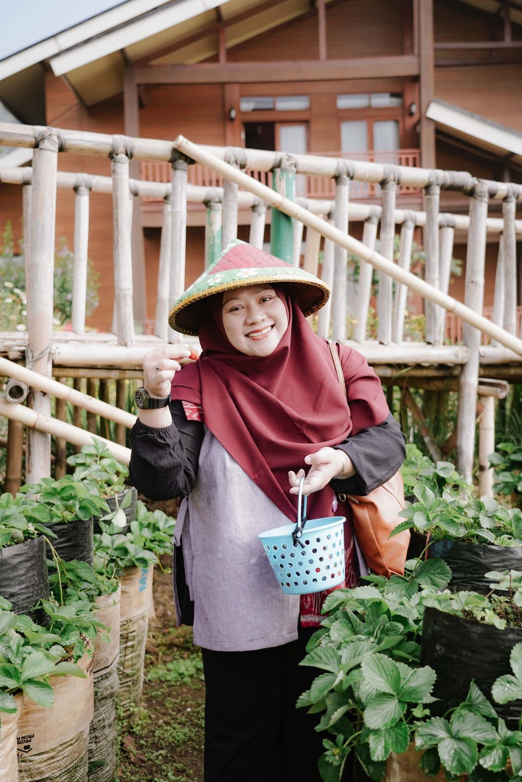 Hebitren BI Bandung, Petik Stroberi